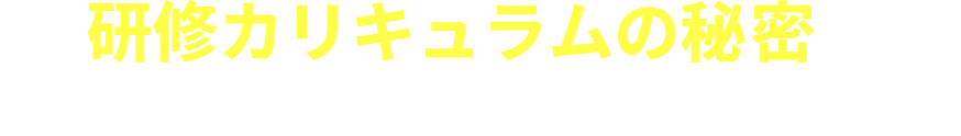 研修カリキュラムの秘密を見てみる