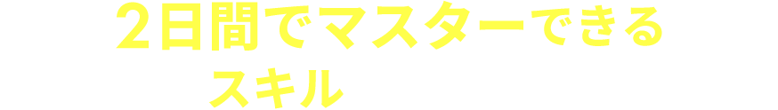 2日間でマスターできるスキルを見てみる